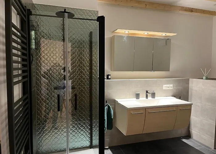 Neue Moderne Mit Infrarot Sauna Und Grossen Garten