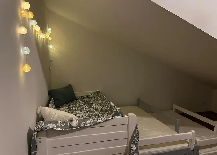 Appartement Neue Moderne Mit Infrarot Sauna Und Grossen Garten Hengersberg